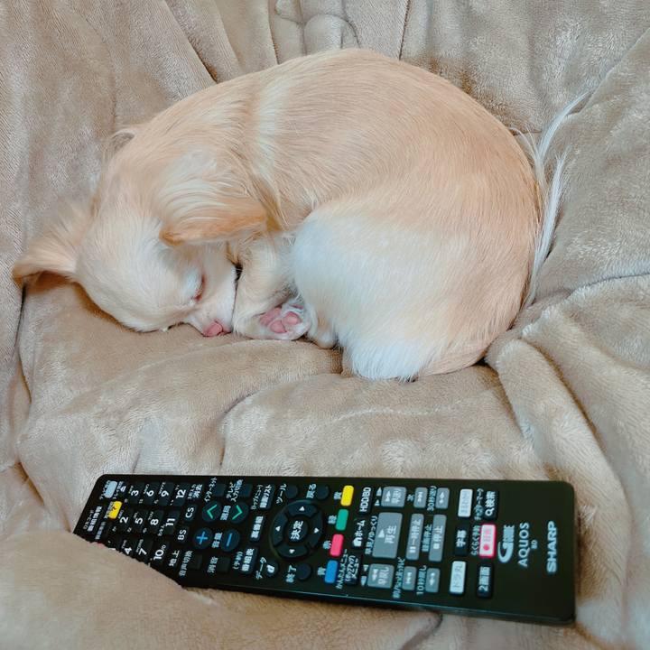 Fd03509a d65f 4b93 85ed 18e214eaaea7 1670900201157