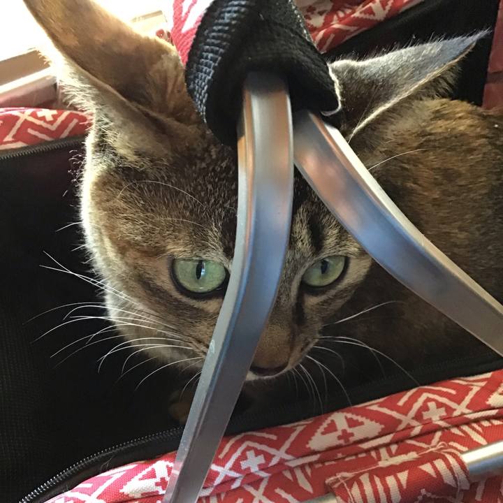 Fd038075 50c5 4717 b299 0eb25e210f6c 1608190862475