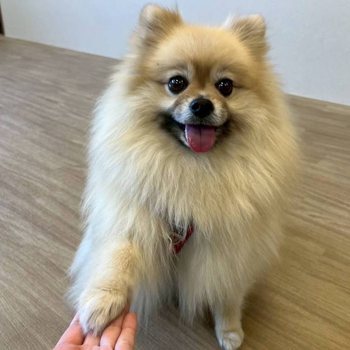 Fd03812a cb7d 44ac 8a4b 7bd02c24cef3 1771041536691