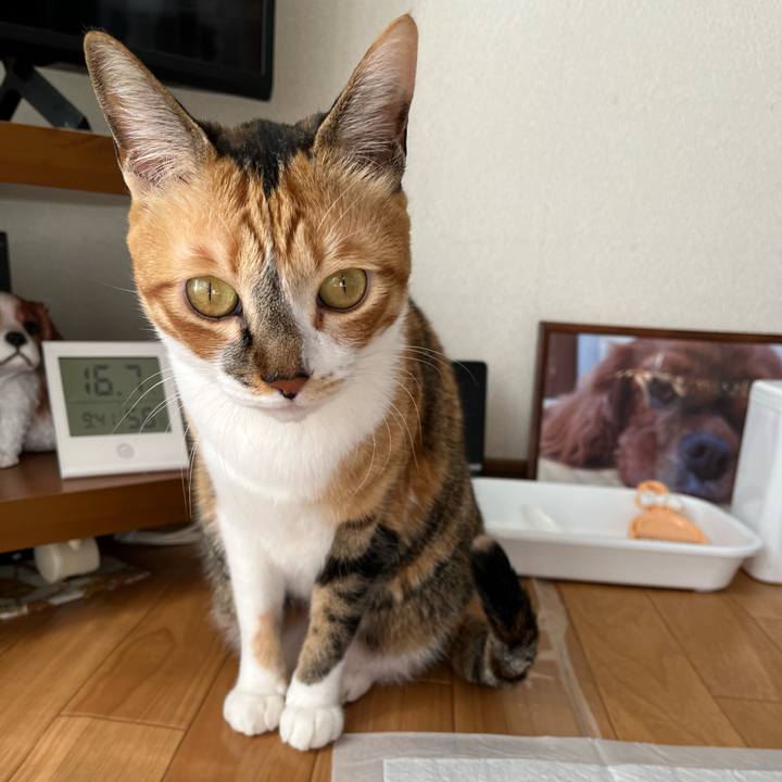 Fd0386ce 3fe7 4c41 ae47 69b10a89a00a 1768783963773