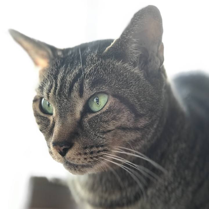 Fd03c255 1b6f 4596 9c7b 57f17e3cae77 1515894045774