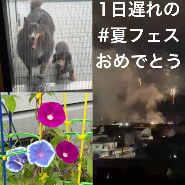 Fd03e4ba 9a1a 4b52 8ce4 5516b411a915 1660467499955