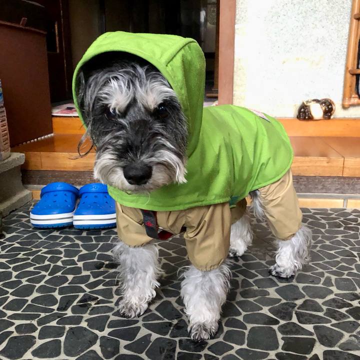 Fd03ecf3 5f2b 4b4d bc5f c0637b5969fc 1705121131862