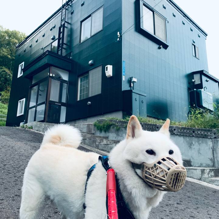 Fd03f187 03b8 4733 9ff6 a9bfe496b791 1663718366534