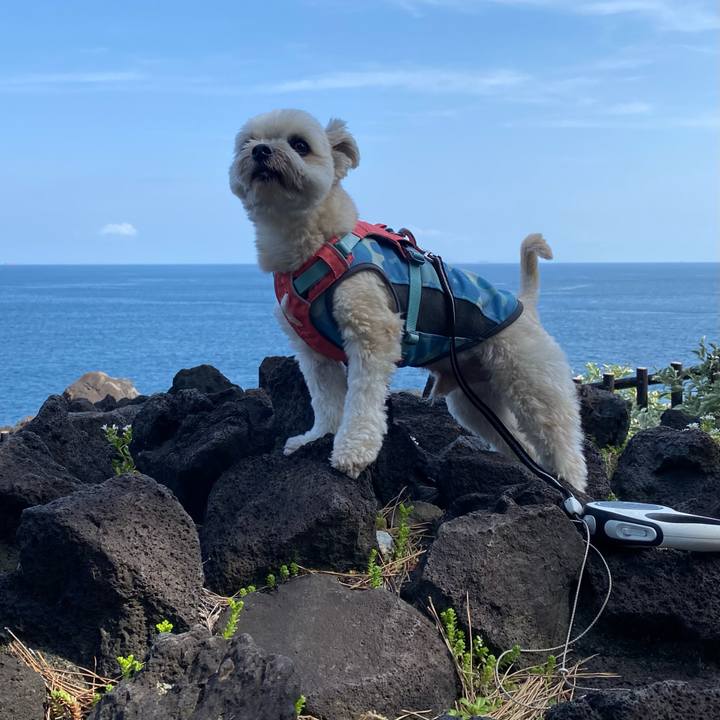 Fd03f393 2be7 4b45 8200 203be73f39d7 1716715018746