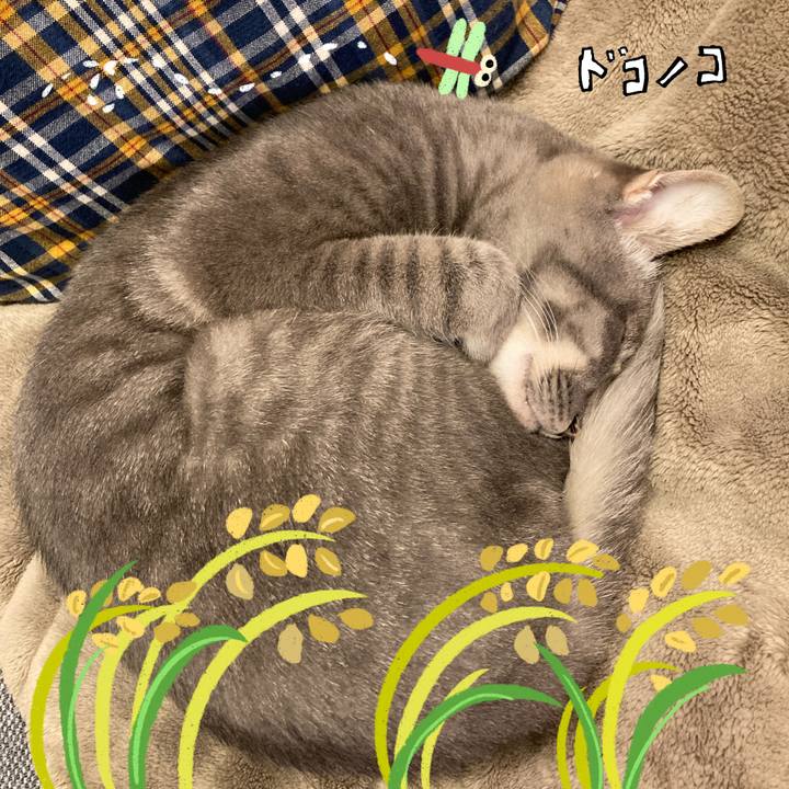 Fd0407f4 9a11 49db a2c6 4ba30bd6fc41 1761919133447