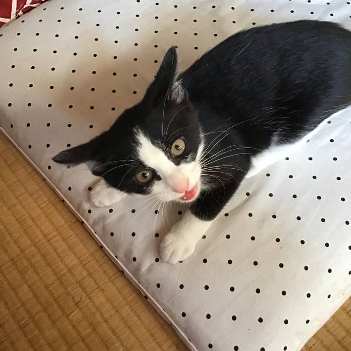 Fd043c71 0da2 4df5 b51d fd9fef46572a 1626571707108