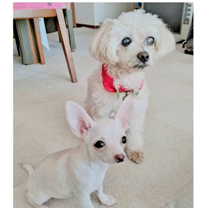 Fd045969 a020 4ba5 b894 84425bf33df4 1704600219794