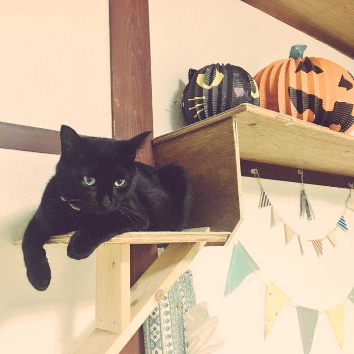 Fd04715b d1f1 4d92 a7c7 ef881f249556 1538179690307