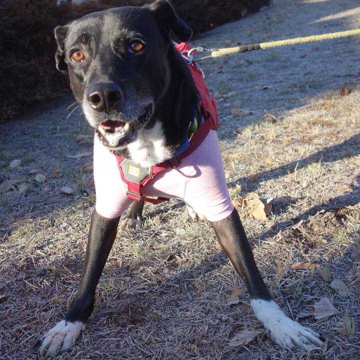 Fd0489e9 0e96 4464 86c6 905f70432b6f 1675038768377