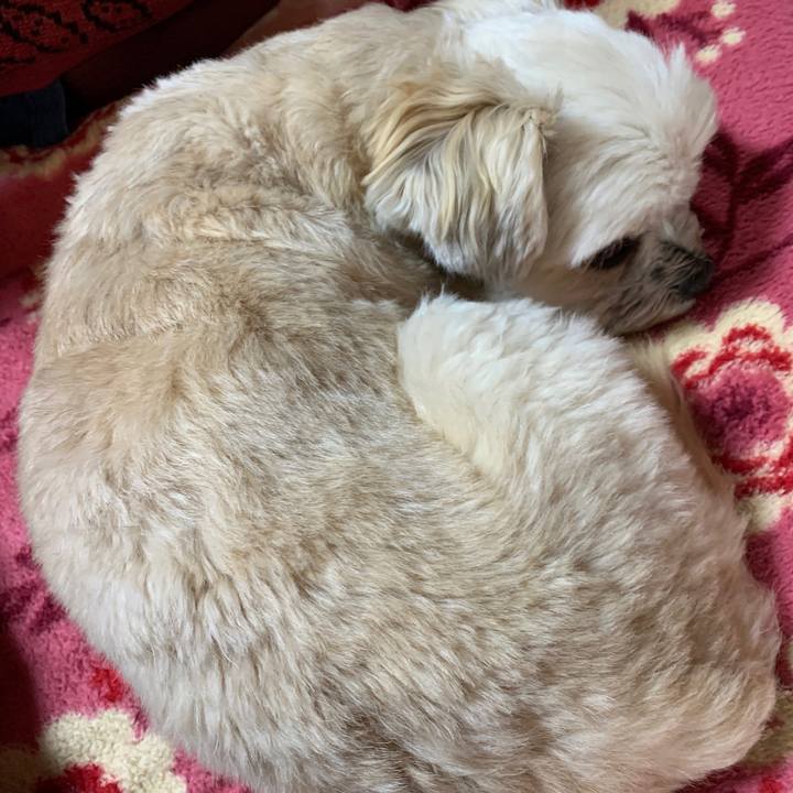 Fd0494c1 65b7 4f40 8dbd 266a05e34d92 1582368159720