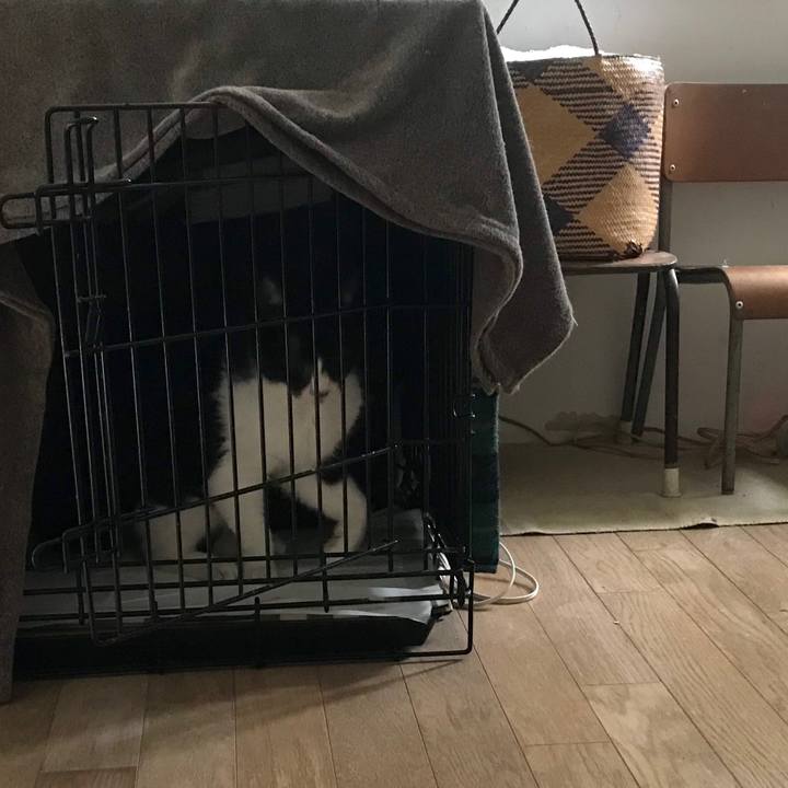 Fd049fef d0e4 4181 99ea 438a2d062610 1578649897981