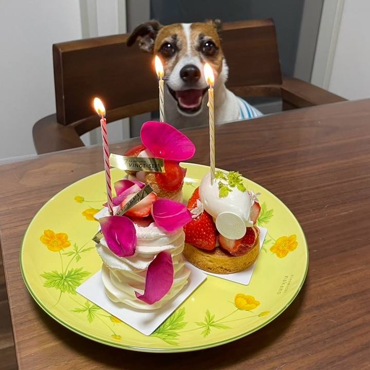 Fd04a590 aaab 4195 90b0 15c24e1d6028 1748515218507