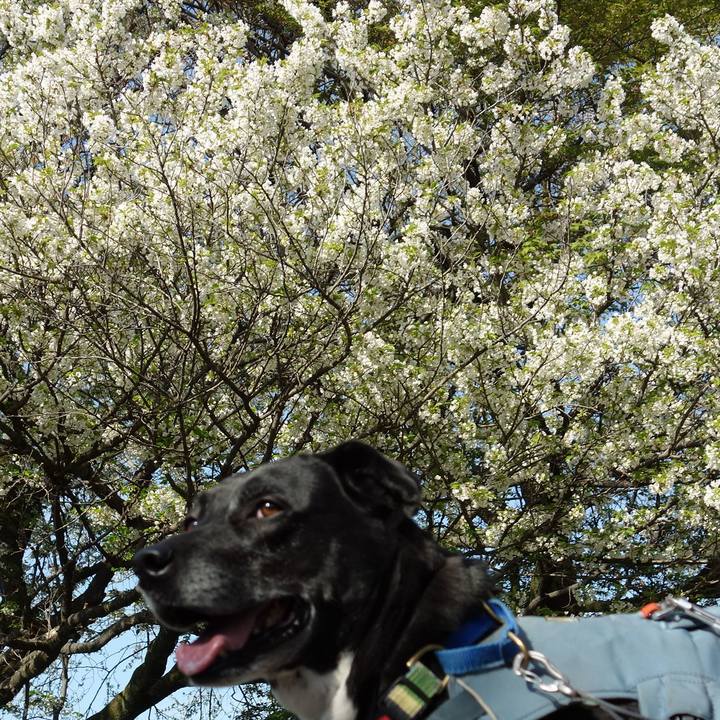 Fd04c059 e20c 408f 9171 457d7d399c37 1712969684303