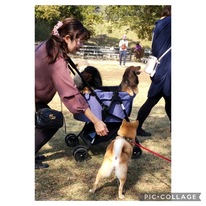 Fd05128a 8867 443e 8d14 cbed9ffa726d 1698993910519