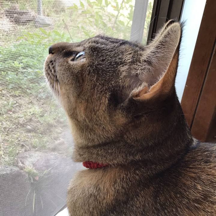 Fd052043 3d66 47db 9479 33870fd6feca 1584864055150