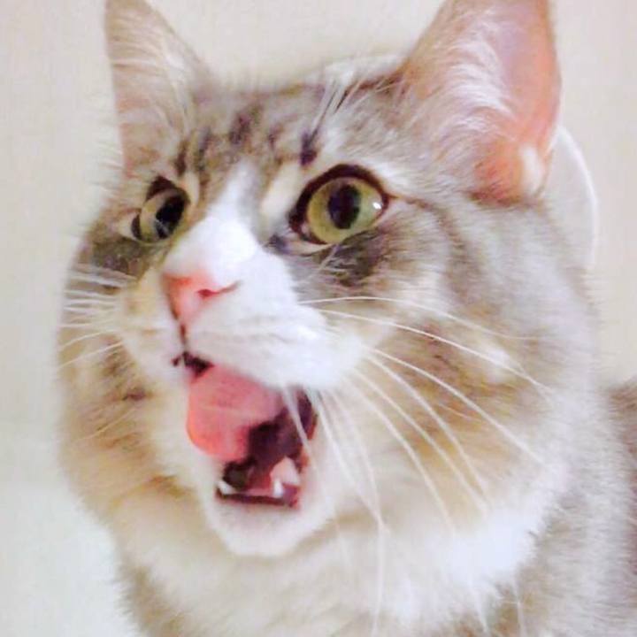 Fd052edf a477 41b6 9212 d2845ce9324d 1521026744765