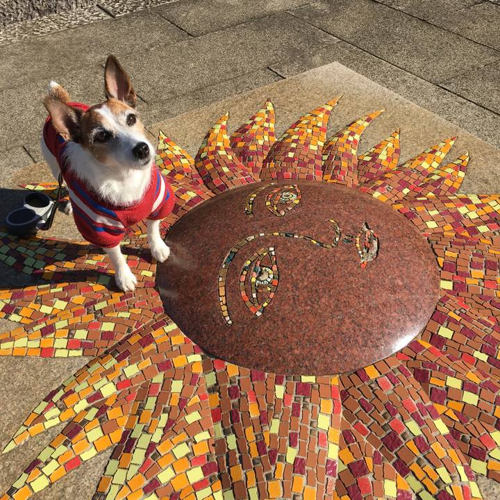 Fd05312e 8b9a 4cbe a241 8bc2dfb204f6 1605742248670