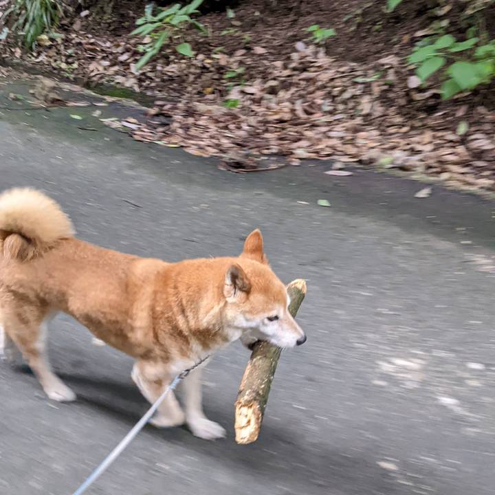 Fd055b55 b449 4a16 a681 28edd7e683a4 1693267052359