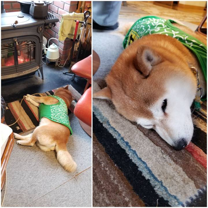 Fd056257 55fb 4343 941a 5e123a9cea37 1587943557407