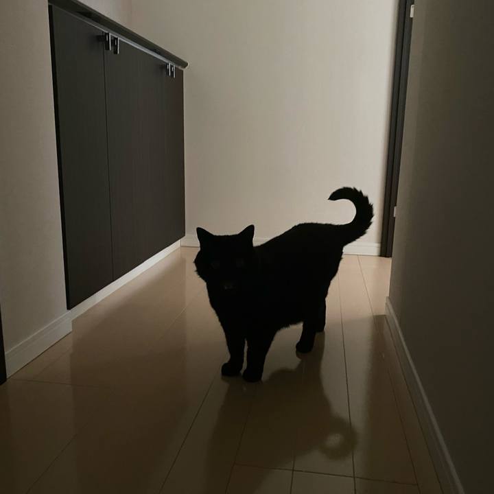 Fd057719 d500 4eac bd0a 242fb6fadfc3 1718700984840