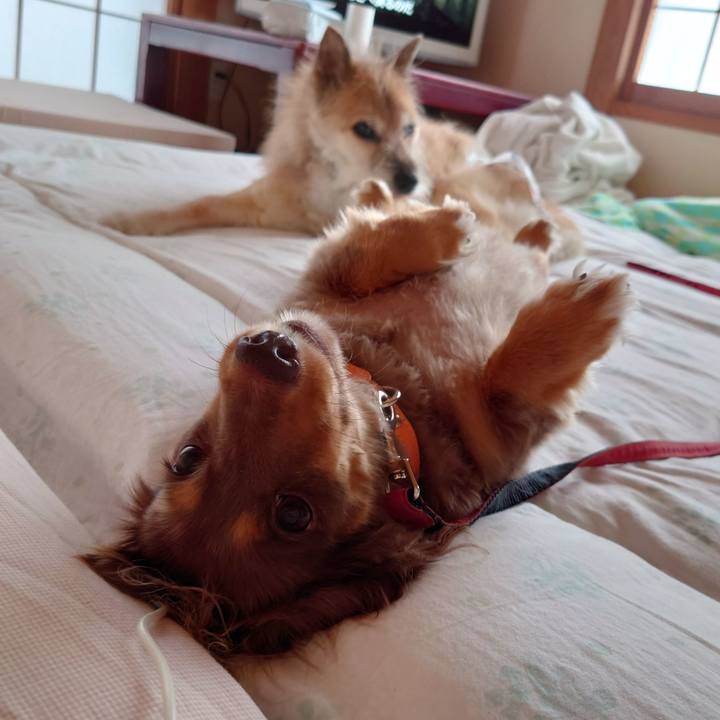 Fd059d2c b3f7 4110 8bc7 c12977a03991 1630195465618