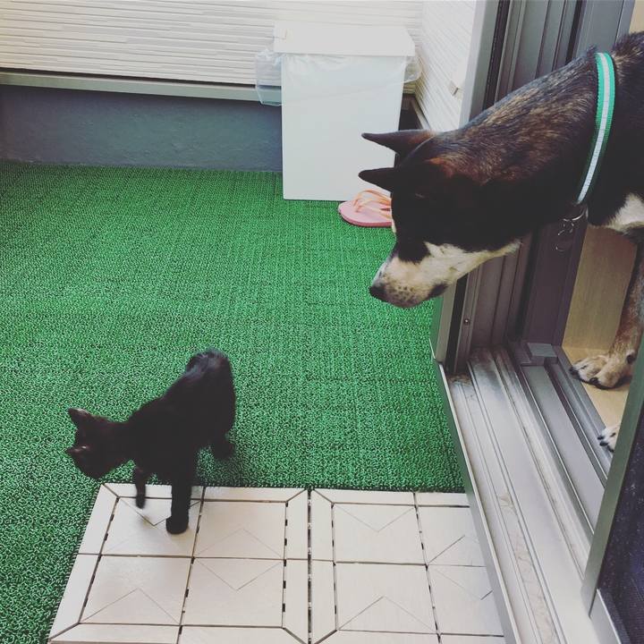 Fd060fd0 1d0f 4aa6 b27c 91fa15394409 1549943120228