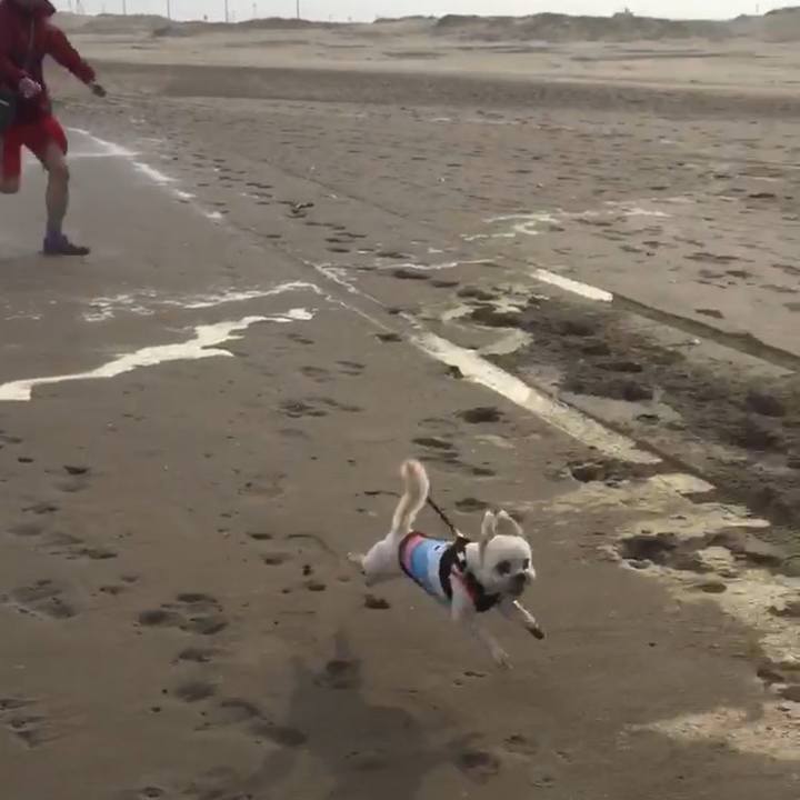 Fd061a76 fc77 4b8b b8e2 e412dcc4f35a 1525078011244