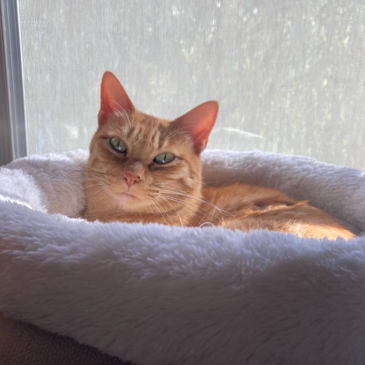 Fd065594 a4b8 4929 91e5 a5e3d2129075 1734580933234