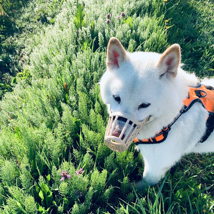 Fd0680af 0708 43a6 9a1c 607736f5096c 1621026837090