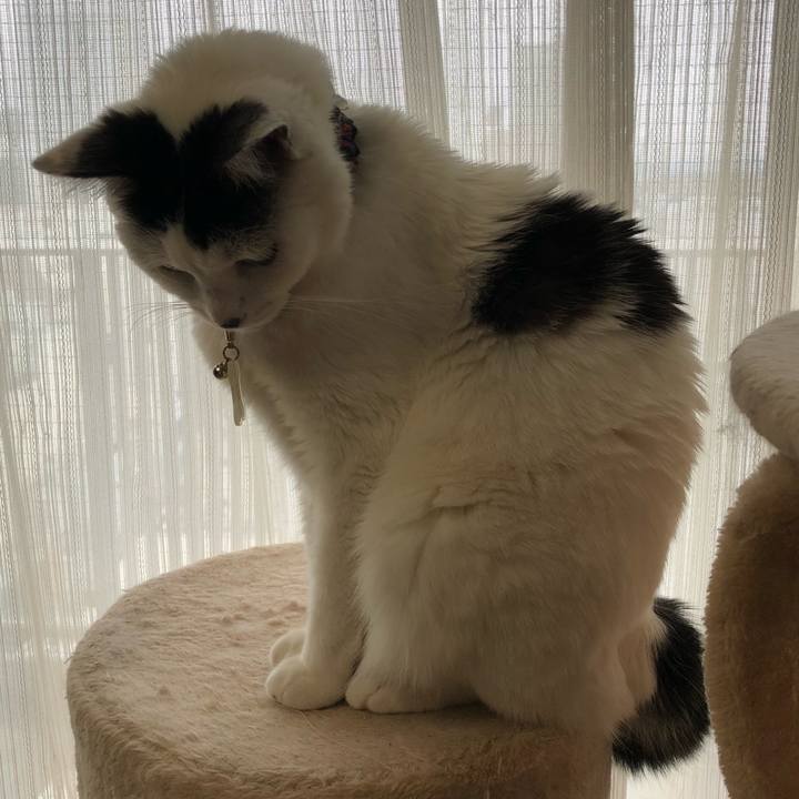 Fd06851f 41ca 4f48 b85d 55fa2fa65cae 1525735010692