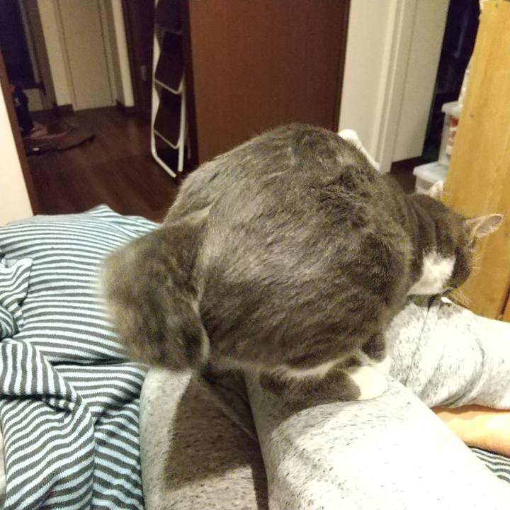 Fd068fac 0c47 46ac 88b3 bb5aac82e71d 1614088621146