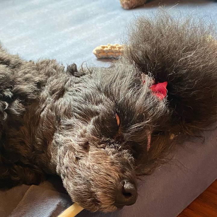 Fd06957f fff9 43e3 a1c1 d8a11c72f436 1659932888624