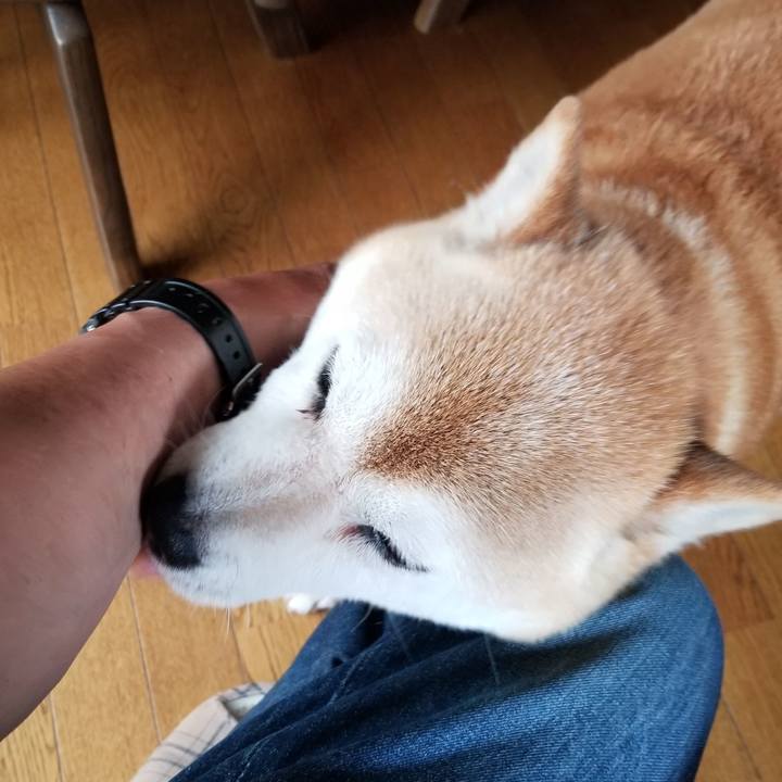 Fd06b0f9 4005 4ecd 8dd8 292a68f8a28c 1655796838636