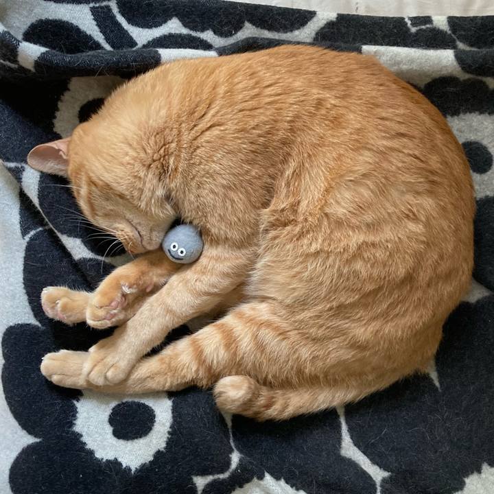 Fd06c1c5 bee2 4801 889b 0e76bf2828f2 1631923636432