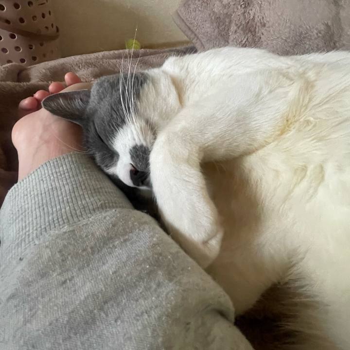 Fd06f193 c57e 424b bf87 2905b752a947 1712305796433