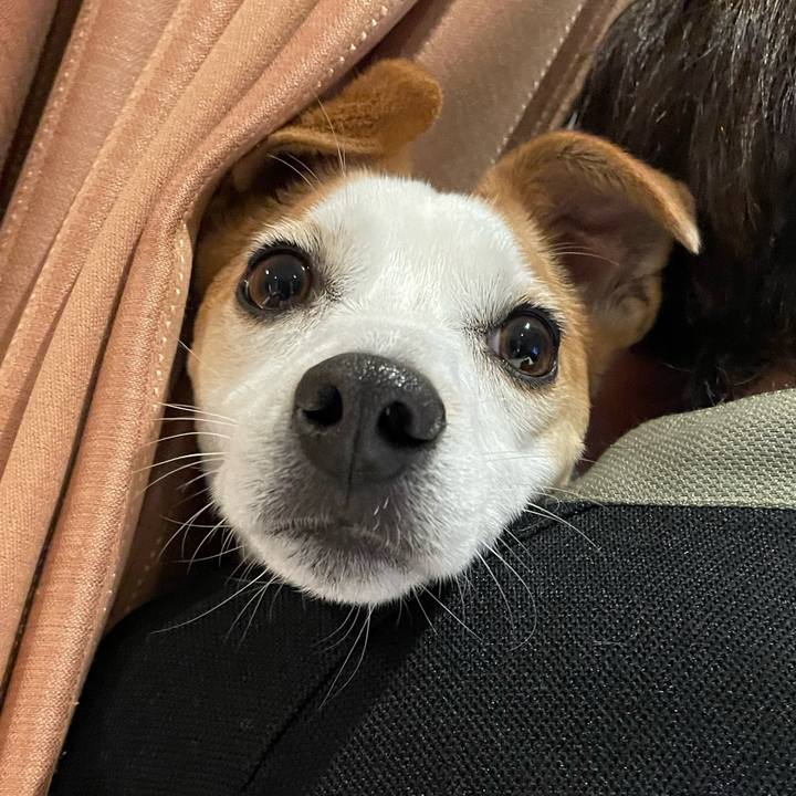 Fd06f859 27c2 411c 9392 d0fe12465b1b 1648982015884