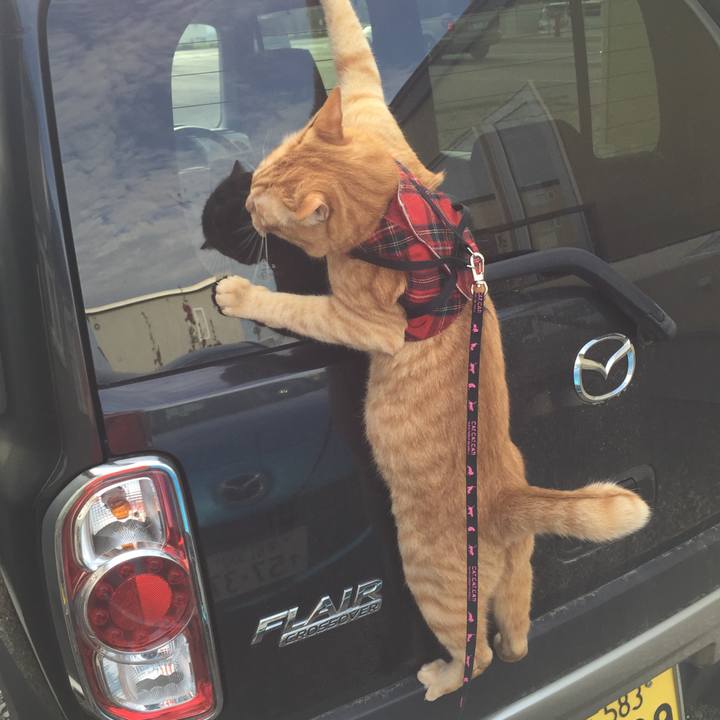 Fd073ac1 9222 46e1 82d0 2a217e4cae35 1532343819999