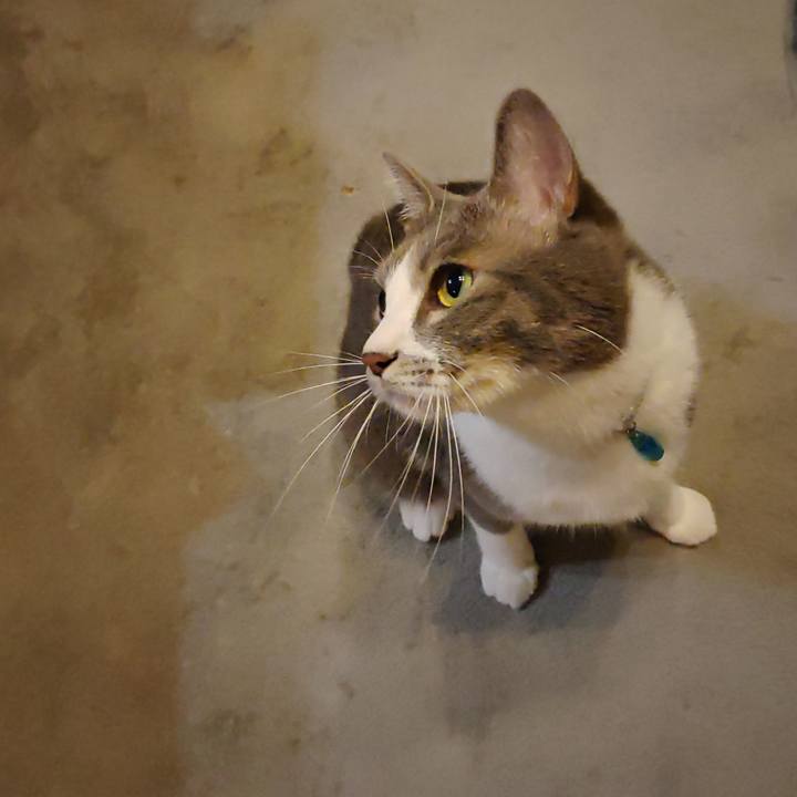 Fd076a9f b44d 49ef a187 117982537df4 1661950690474