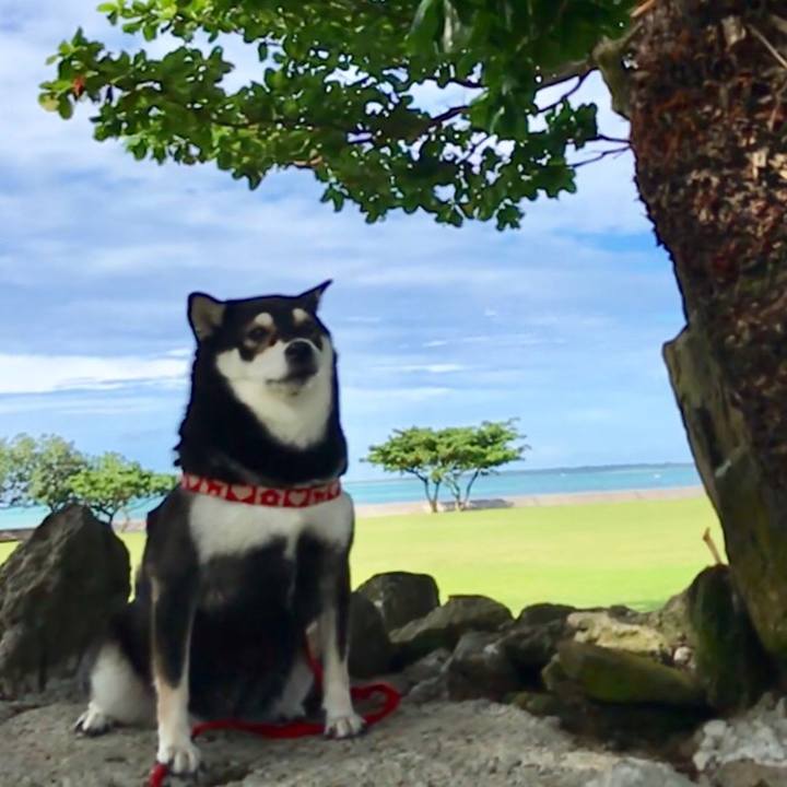 Fd0770f7 938b 427f b930 8da53c0b24e8 1535416941854