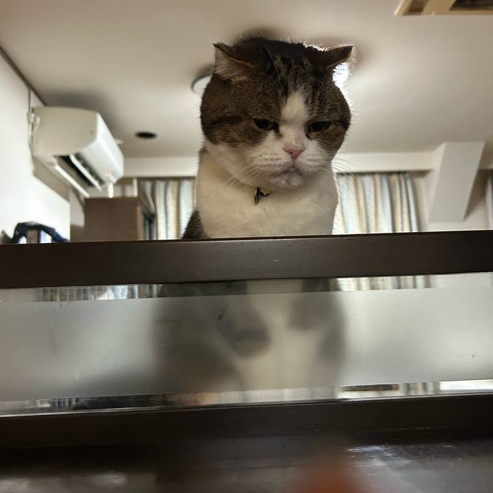 Fd078ba0 5289 4f02 bf85 f56146ade555 1767646827004