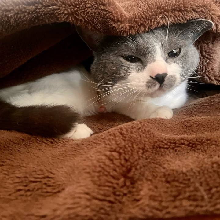 Fd07a113 6475 430d ae33 ebe823297ee1 1648682228306