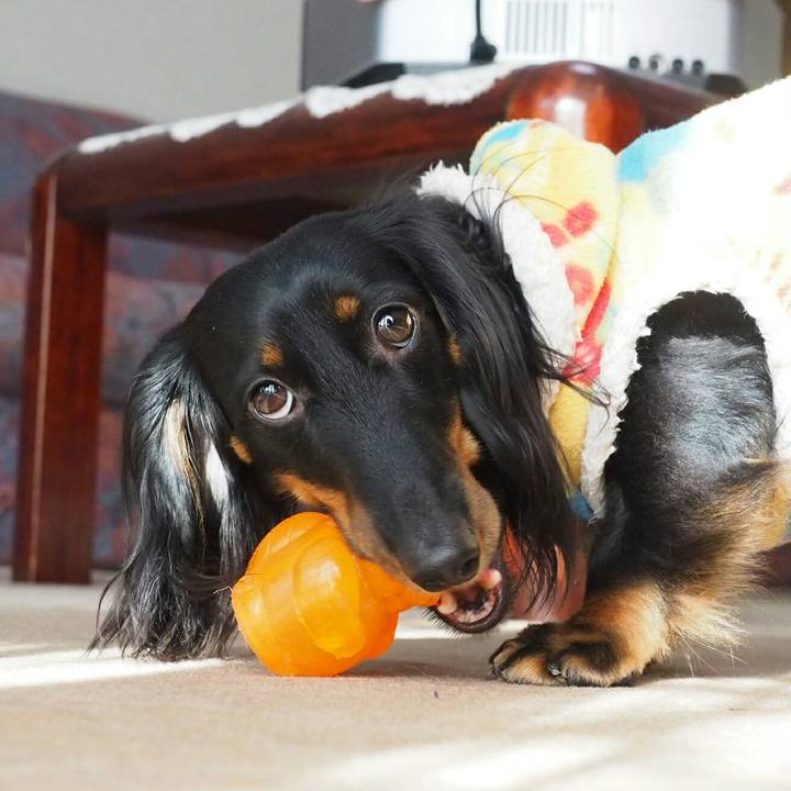 Fd07cf38 70c5 48a8 bd8f b08a39957f46 1513564245573