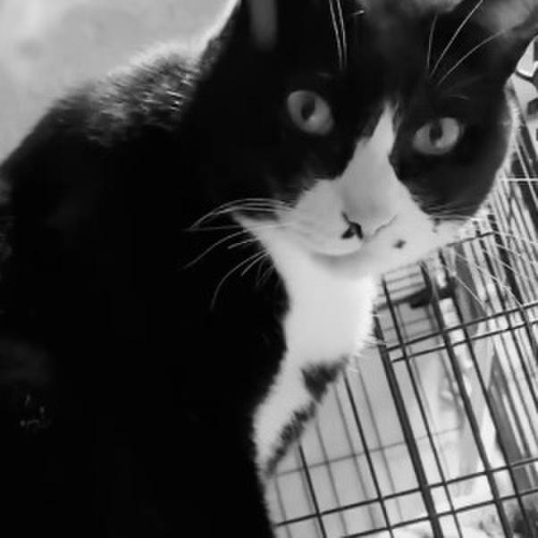 Fd07db45 4797 46c0 8448 8f9d956f09e5 1746523993147