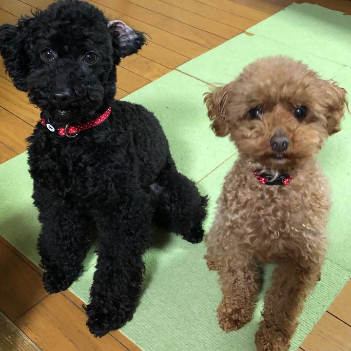 Fd07e0ed 4f9a 445d bd68 fe6e1a0cb249 1554676989735