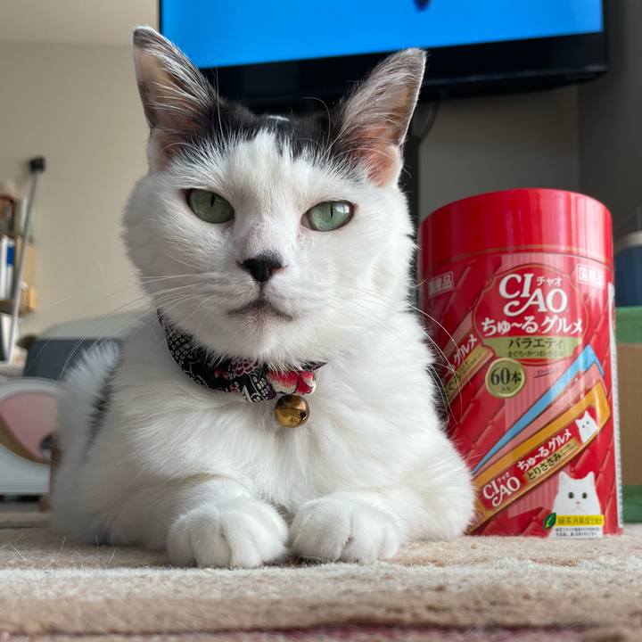 Fd0810d5 80a7 4fd5 aa73 1dc9b4687c60 1691214550189