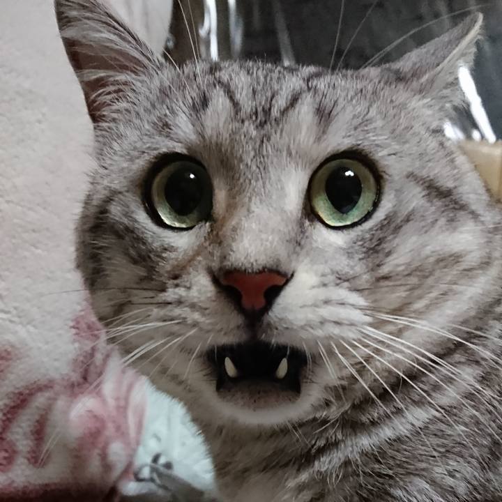 Fd082d4a ba7a 4bd7 8238 a6f308682c2a 1528638785472