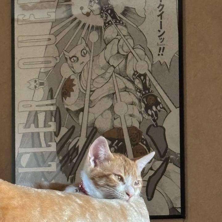 Fd082fa2 9a74 496e bf77 eb20f2d7ce21 1754186486014