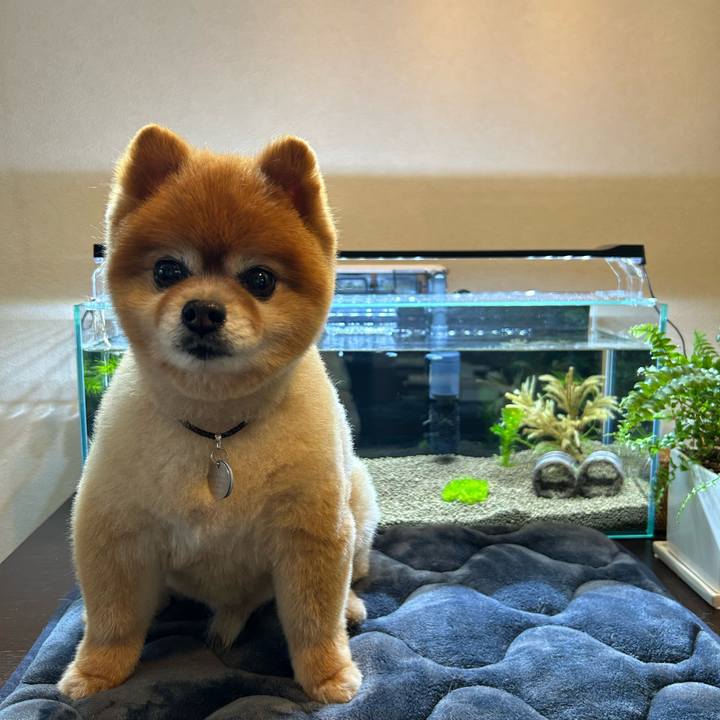 Fd08533e 4118 498d 9e00 2c016429f55a 1691212837967