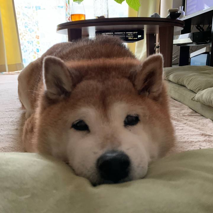 Fd085c0d ad83 40aa 87c0 7ef1fedcdab9 1594378406047